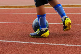 ac米兰体育官网-足球产业链:从青训到转播的全产业生态,足球产业主要经营内容