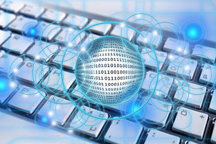 米兰体育入口-中国篮球联赛数据驱动的战术优化实践,中国篮球数据库查询