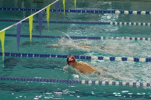 ac米兰官网-全国青少年游泳锦标赛涌现多位新星,2021年青少年游泳锦标赛