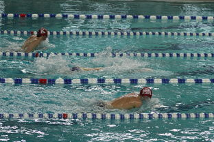 ac米兰官网-全国青少年游泳锦标赛涌现多位新星,2021年青少年游泳锦标赛